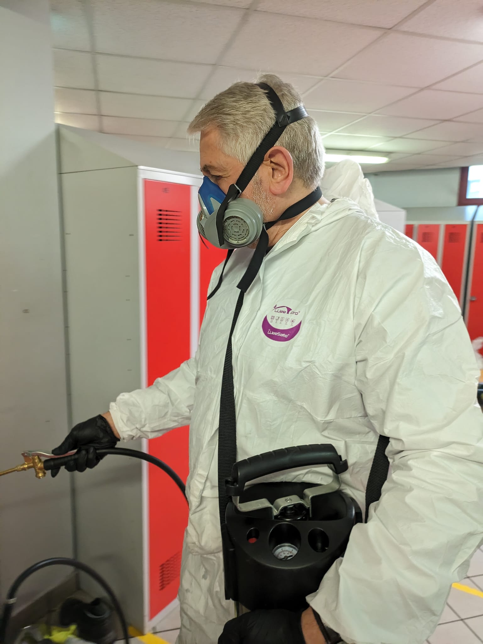 désinsectisation à Paris